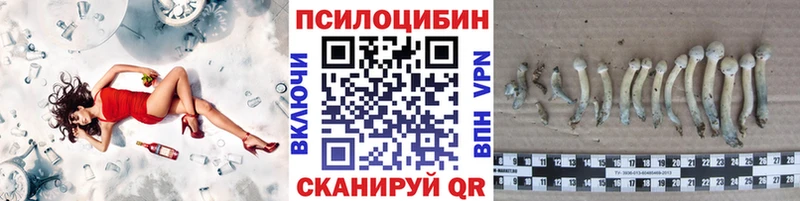 Псилоцибиновые грибы прущие грибы  купить закладку  Богучар 